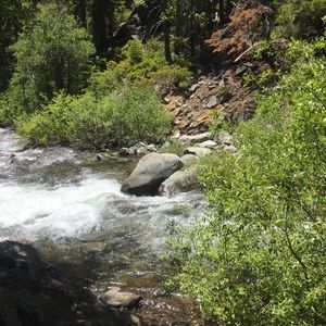 Meet your Posher, Sophia